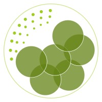 fiki LABS logo - Similar company to Meritics Ltd