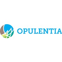 Opulentia LLC logo - Similar company to Icfo Consulting Inc