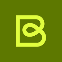 Bloomshine Media logo - Similar company to Dream Agency