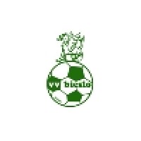 V.V. Bieslo