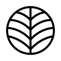 Palmio logo - Similar company to Dug