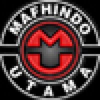 PT. Mafhindo Utama logo - Similar company to Djima Petrochemical Corp