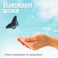 SEARCHLIGHT WITHIN logo - Similar company to Statart