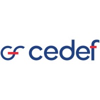 CEDEF logo - Similar company to Medef Mayenne