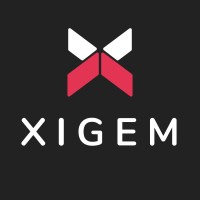 Xigem Technologies logo - Similar company to Audacious Commerce – Ecommerce Growth Architect