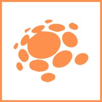 Collect B2B logo - Similar company to Bloom B2B