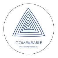 Comparable logo - Similar company to Spirant Group