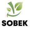SOBEK Agricultural Export - Badrawy Farms logo - Similar company to Simba Vegetables