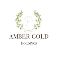 Amber Gold Holdings logo - Similar company to Emily.Rpa - Automate Your Daily Work
