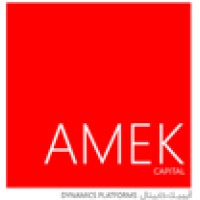 AMEK Capital logo - Similar company to Bambr.Io