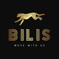 Bilis logo - Similar company to Digitroll As