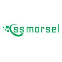 SS Morsel India Private Limited logo - Similar company to Ls Properties