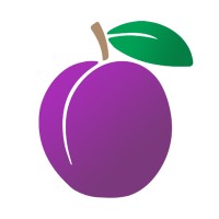 Plumlogix (MBE Salesforce Partner) logo - Similar company to 3S Solutions Pvt Ltd Pakistan