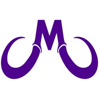 Mammoth Roofing and Solar logo - Similar company to Roofing Bear