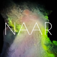 NAAR logo - Similar company to Nolt Mathis