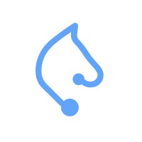 Stratechgy logo - Similar company to Bornehub