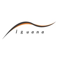 Iguana Lda. logo - Similar company to Netmarket
