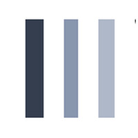 Venture Suisse logo - Similar company to Venture Diplomat