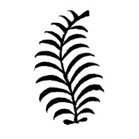 Fern & Frost logo - Similar company to Aerotech Solutions