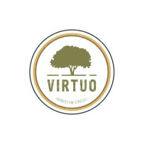 Virtuo logo - Similar company to Andyson Sa