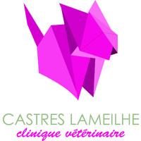 Clinique Vétérinaire Castres Lameilhé logo - Similar company to Crush Carrière