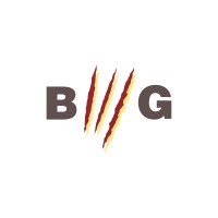 Be Wild Games logo - Similar company to Lightbox | Exactbid