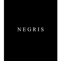 NEGRIS LEBRUM logo - Similar company to Baik Brands, Inc.