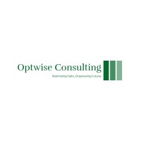 OPTWISE CONSULTING logo - Similar company to Oort | The Data Cloud For Decentralized Ai