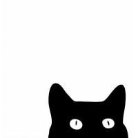 MEOW Magazine logo - Similar company to Trendo.Mx