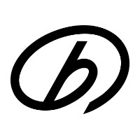 BROAD Group Ltd. logo - Similar company to Bcore Digital 远大芯建数字科技有限公司
