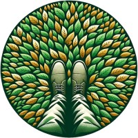 Leaves Under Foot