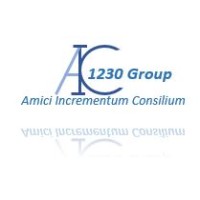 AIC-1230 Group - Consulting, Strategy, and Revenue generation logo - Similar company to Paris 1901
