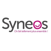 syneos.fr logo - Similar company to Dlr Pro