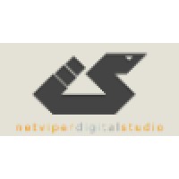Netviper Digital Studio