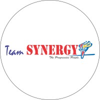 TeamSYNERGY logo - Similar company to Teamsynerg Global Consulting