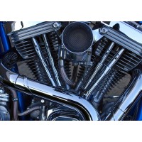 FIFS Motorsports Insurance logo - Similar company to Adventure Harley-Davidson