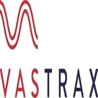 Vastrax logo - Similar company to Code Pixel Games