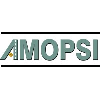 AMOPSI S.A. de C.V. logo - Similar company to Amopsi