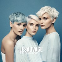 Lesauvage Media London logo - Similar company to Mango Studios Ldn