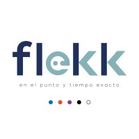 flekkmx logo - Similar company to Effy