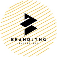 The Brandlyng Institute logo - Similar company to Kmf Infotech
