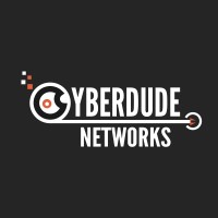 CyberDude Networks Private Limited logo - Similar company to Jvl Code
