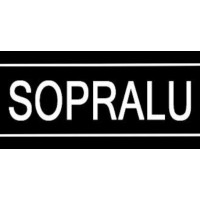 SOPRALU logo - Similar company to Verticlad