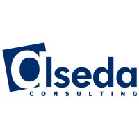 alseda Consulting logo - Similar company to 1M Solutions