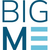 BIGMETRICA logo - Similar company to Gdsis
