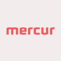 Mercur Solutions AB logo - Similar company to Leanon