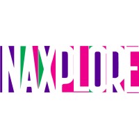 NAXPLORE logo - Similar company to Vulcantech Software