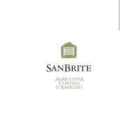 Sanbrite logo - Similar company to Bureau Rabensteiner