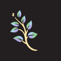Nathan Fradley Specialist Financial Advice logo - Similar company to Challenge The Standard In Financial Advice (Podcast)
