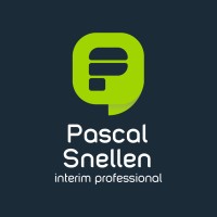 Pascal Snellen Interim Professional